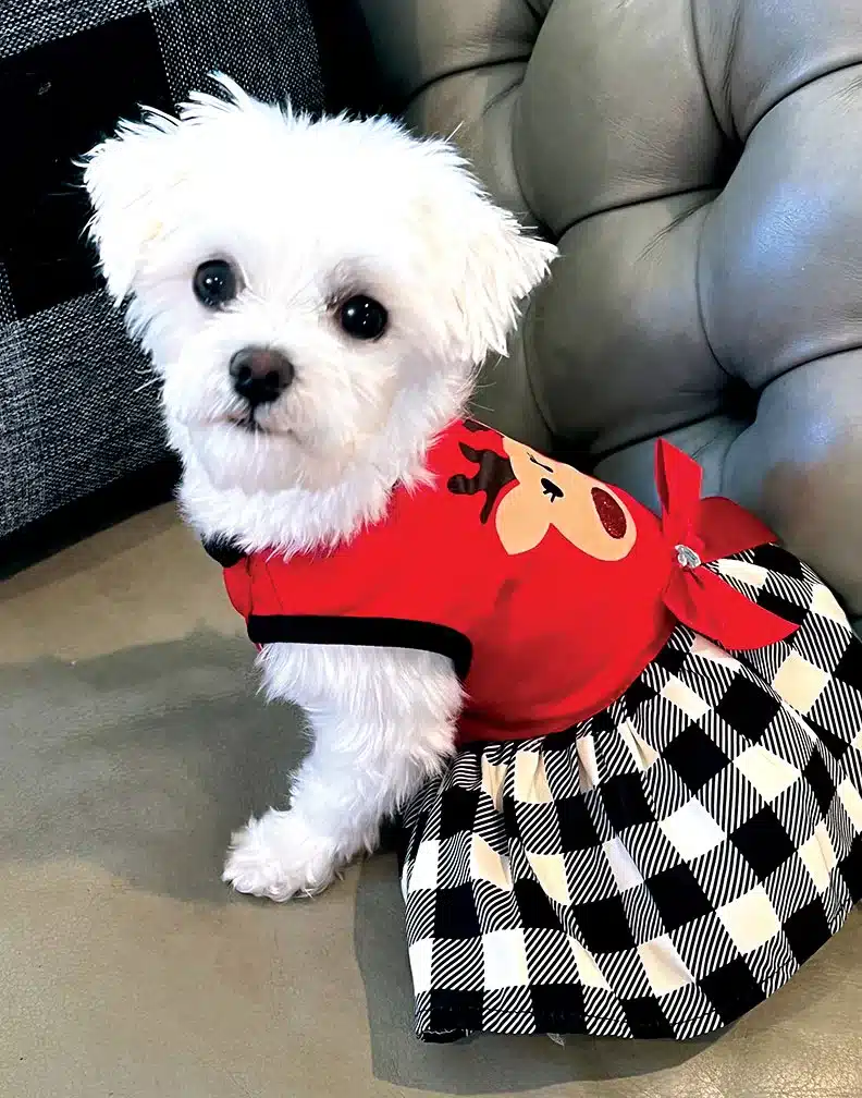 Little Miss Baby Little Miss Baby