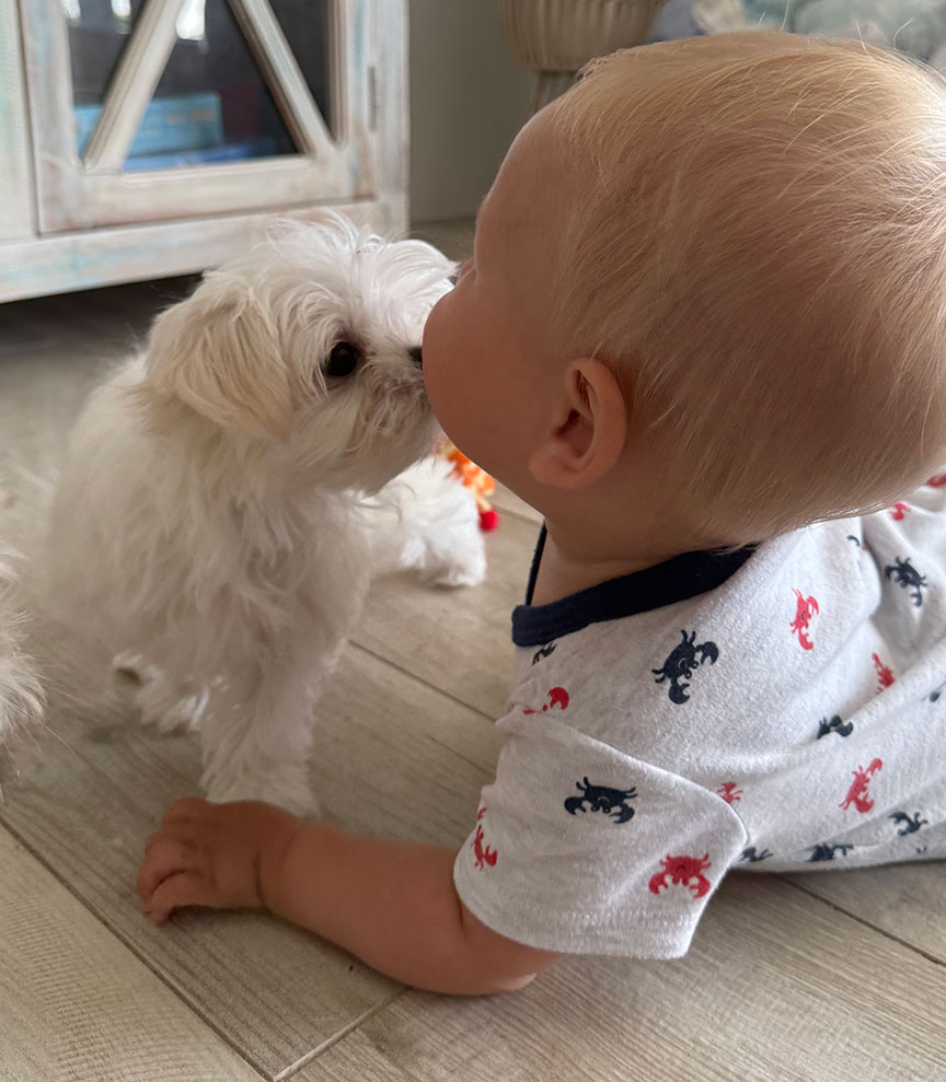 Puppy Kisses